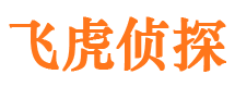 江陵市婚外情调查